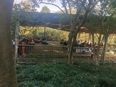-杭州少年儿童公园