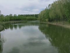 -东郊湿地公园