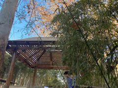 -春晖园度假酒店温泉