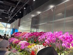 -上海孙中山故居纪念馆