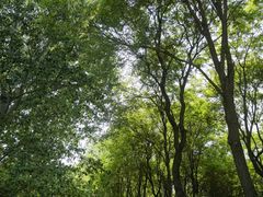 -东升八家郊野公园