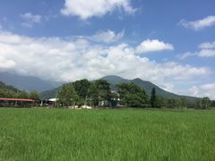 -瑞穗牧场