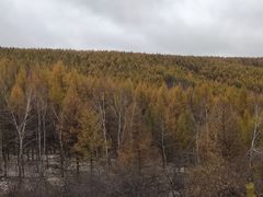 -塞罕坝国家级自然保护区