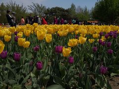 -长春公园(普阳街道)