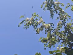 -北岭山森林公园