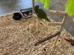 -南宫五洲植物乐园