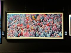 -罗红摄影艺术馆