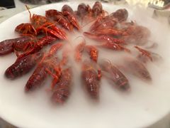 -红盔甲·小龙虾(天钥桥店)