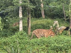 -海南热带野生动植物园