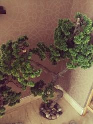 -JNK皮肤管理中心