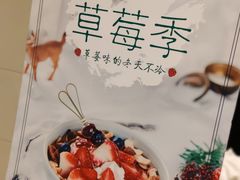 -宝珠奶酪(长宁金虹桥店)
