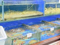 -张树军海鲜(王府壹号店)
