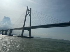 -招商蛇口邮轮母港(观光客运)