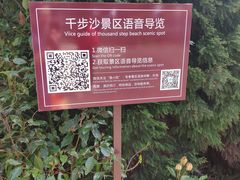 -普陀山风景名胜区-千步大沙