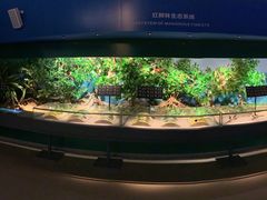 -中国（海南）南海博物馆