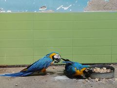 -石家庄市动物园