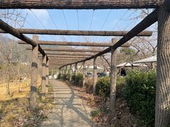 -龙寺生态园