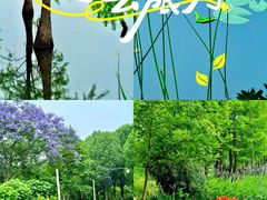 -白鹭湾湿地公园