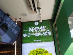 -茉酸奶(春熙路店)