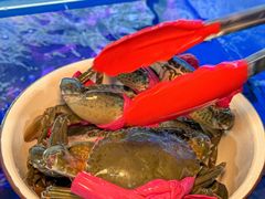 -辣螃铠盆盆蟹大排档(海昌店)