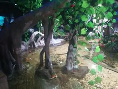 -临沂极地海洋王国