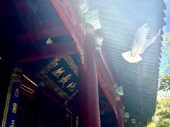 -潭柘寺景区