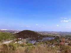 -上海佘山国家森林公园西佘山园