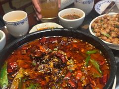 -志晖园圆子鸡·辣子鸡(阳光店)