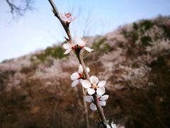 -碓臼峪自然风景区