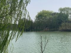 -苏州太湖国家湿地公园