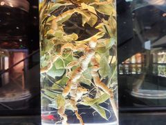 -广东中医药博物馆
