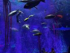 -沈阳海洋探索中心