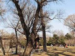 -晋祠公园