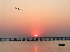 -宝安西湾红树林湿地公园