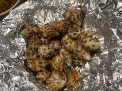 盐焗花螺-千岛蚝高压锅生蚝·人参火锅(白云万达店)