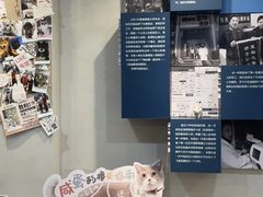 -伟伟宠物医院·CT影像中心·瑞派犬猫综合性门诊(汉口总院)
