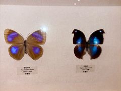 -艾溪湖湿地公园