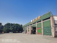 -石岐乳鸽村(南海第三分店)