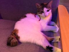 -蜉蝣酒吧(仓山万达店)