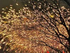 -淹城春秋乐园