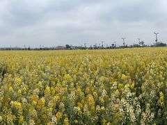 -中国天府农业博览园