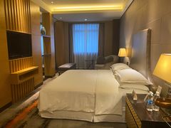 -西安赛瑞喜来登大酒店