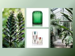 -剪刀石头布家居广场