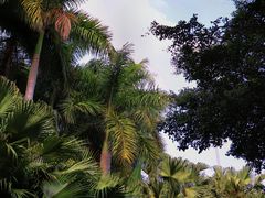 -深圳国际园林花卉博览园