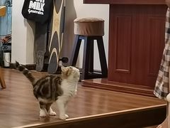 -参差咖啡(水果湖公园店)