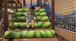 -卡通尼·Safari非洲探索乐园·生日会(金桥国际商业广场店)