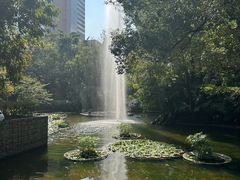-九龙公园