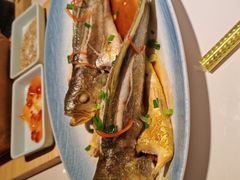 -33号大院·青岛本帮菜(五四广场店)