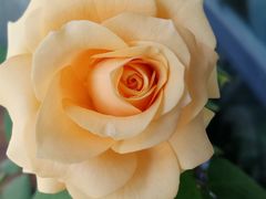 -人民防洪胜利纪念塔