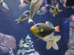 -成都浩海立方海洋公园